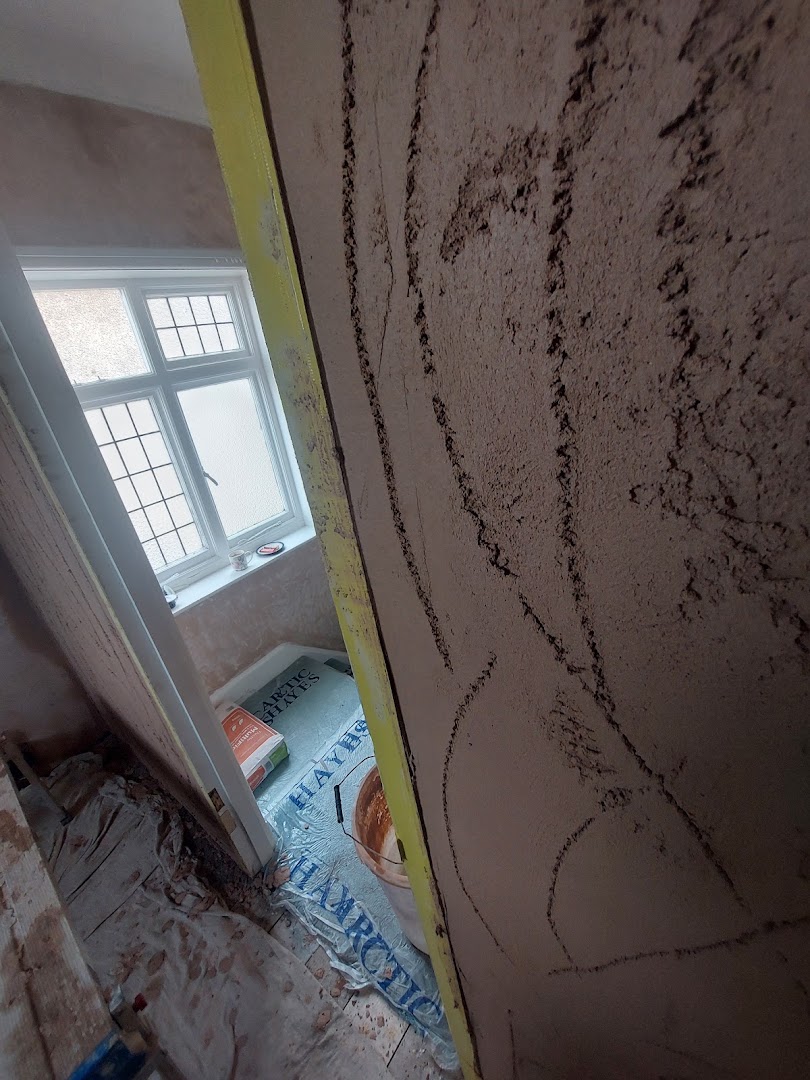 D M Plastering Covering The South — Photos 13