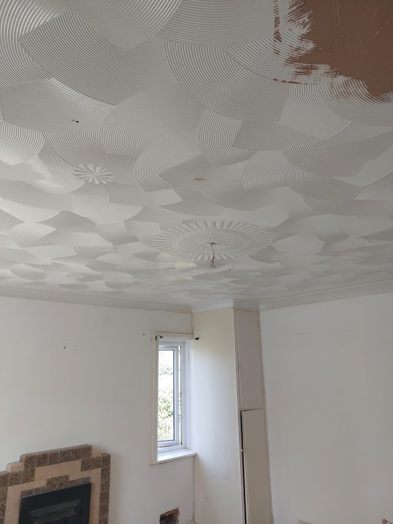 D M Plastering Covering The South — Photos 11
